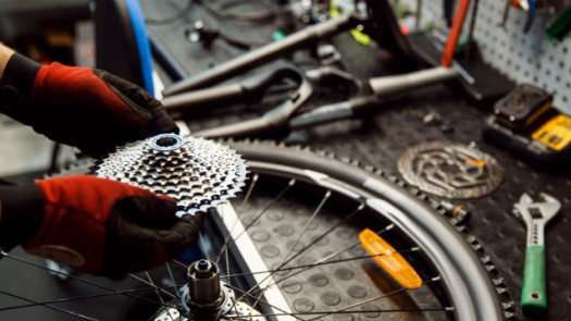 For Sale: Thriving Beachside Bicycle Store