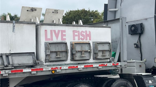 Tilapia Fish Farm For Sale