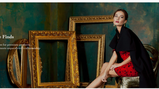 Profitable Lifestyle Ecommerce Marketplace