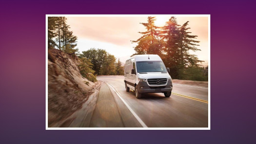 Delivery Logistics with Y-O-Y Growth