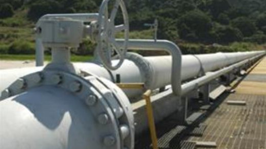 Fuel Trader Seeks Buyers