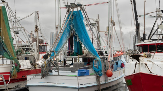 Australia Seafood Group