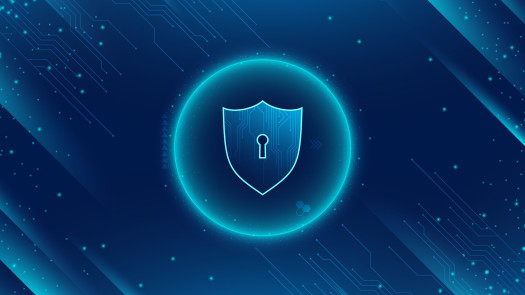 10-Year-Old High-Speed VPN with USA, UK, European customers