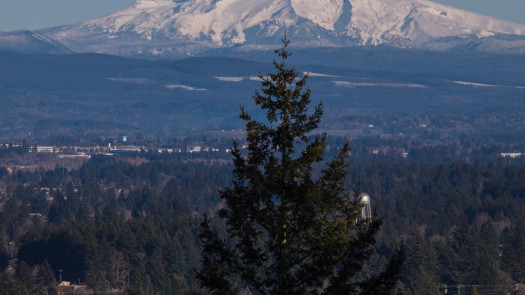 Greater Portland, OR Area Vet Practice for Sale