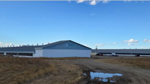 Cannabis EU-GMP Certification Q1 2026. Canada Hub