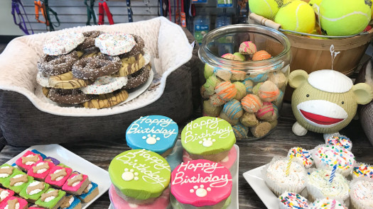 Established and Unique Pet Grooming Shop with Reta