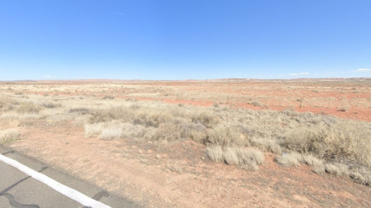 Cheap 40 Acres Mostly Flat Land near St Johns