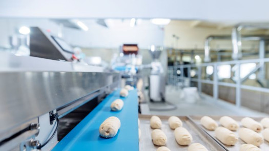 Est. Frozen Food Mfg- 30+ Yrs. Nat’l Distribution