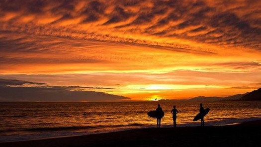 SaaS Internet Holdings Company