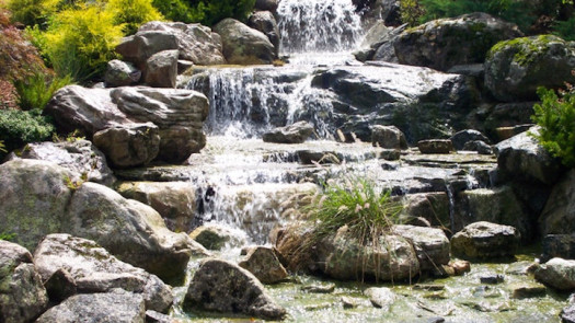 Landscape Design Business for Sale in NC