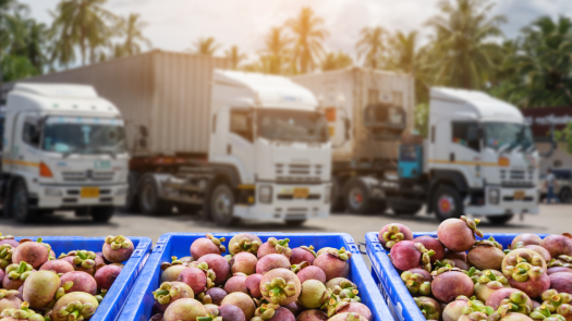 Specialty Food Distribution - Growth Potential