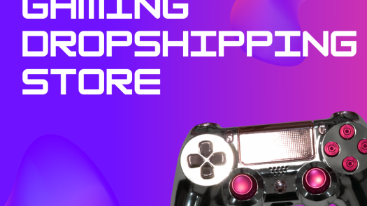 Brand New Gaming Drop-shipping Site