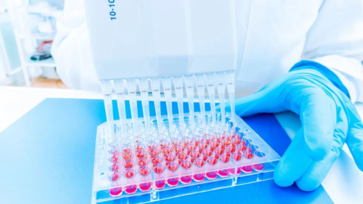 Turnkey High-Complexity Laboratory