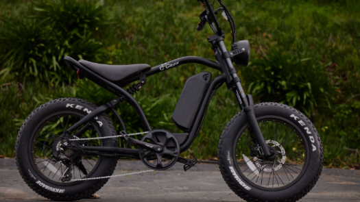 eBikes Ecommerce Website Business