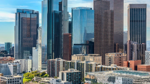 Price Reduced on Mobile Vet Practice in LA County