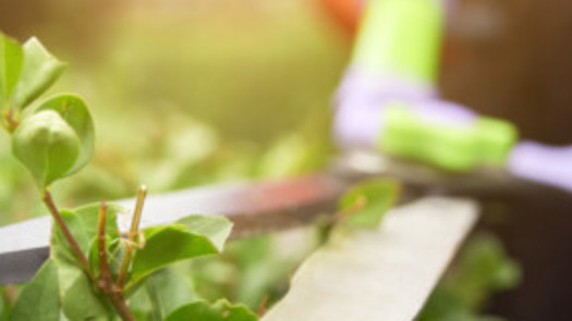 Premier Landscaping Business with 42 Year Legacy