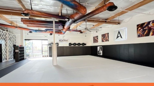 Profitable Restoration & Remediation Company – SBA Qualified, Strong Growth