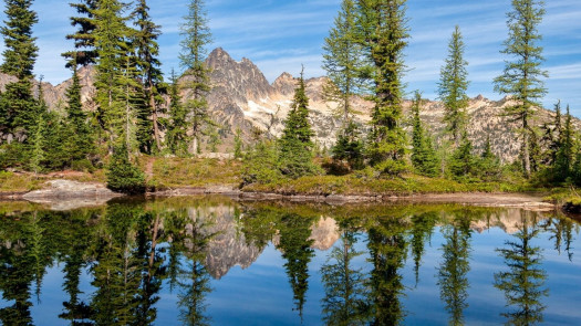 Methow Valley, WA Vet Practice for Sale with RE