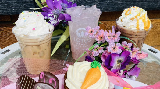 Charming, Profitable Coffee Bar & Boutique