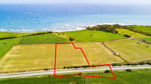 Field in Kivisili, Larnaca