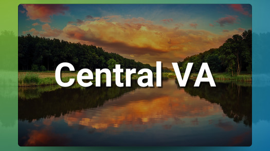 Central VA Chiropractic Practice for Sale