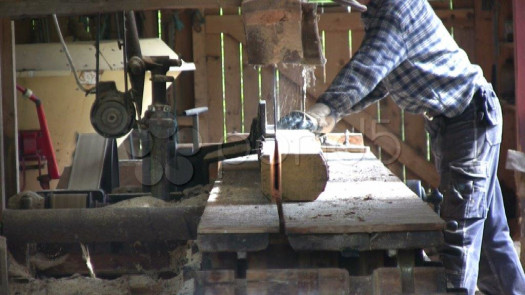 Established Sawmill and Lumber Company