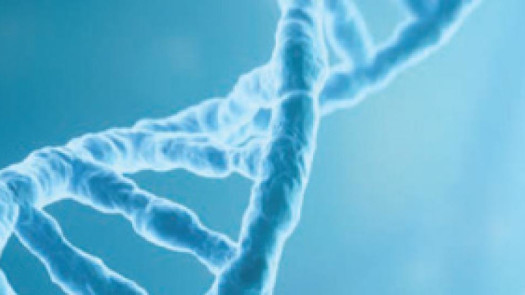 High Complexity CLIA, fully PCR equipped, in Color