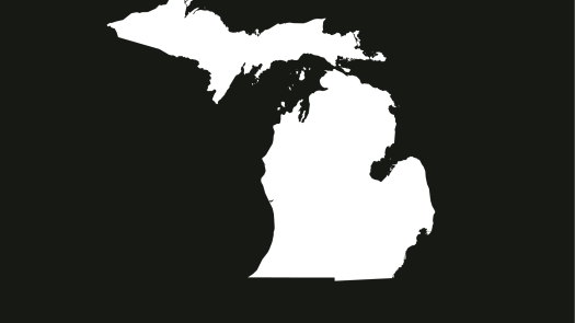 Lenawee County, MI, Practice for Sale