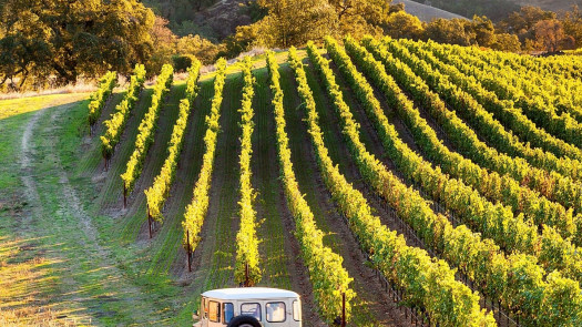 Thriving Sonoma County, CA Veterinary Practice