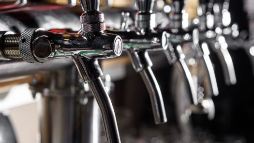 Profitable Mountain Pub / Optional Brewing Facility