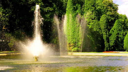 Aquatic Contractor - Design and Maintenance