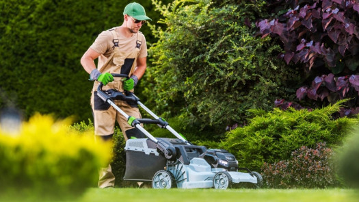 Established Landscape Company  Adj. EBITDA $486K