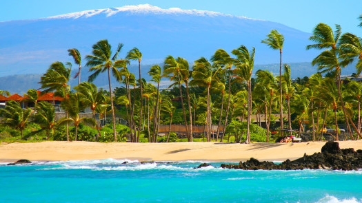 Big Island Hawaii Chiropractic Practice For Sale