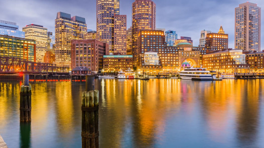 Massachusetts: Growing Feline-Only GP Practice