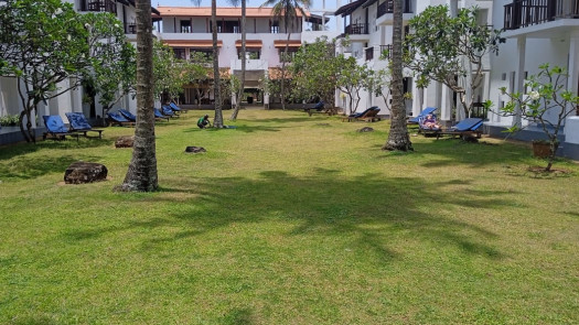 A Stunning Beachfront Hotel in Sri Lanka for Sale