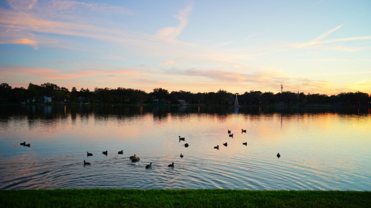 Tampa FL Hybrid CPA Firm with Strong Cash Flow