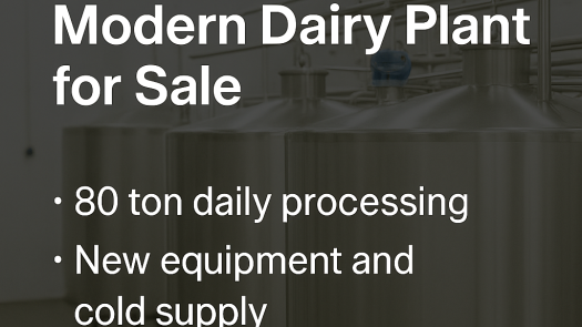 Modern Dairy Processing Plant