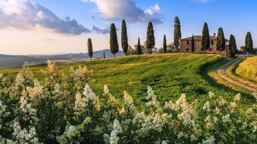 Luxury Lifestyle And Hospitality Business