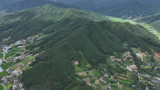 Excellent Plot Of Land For Sale In Korea