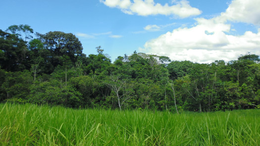 Excellent Opportunity To Selfsupporting Farm