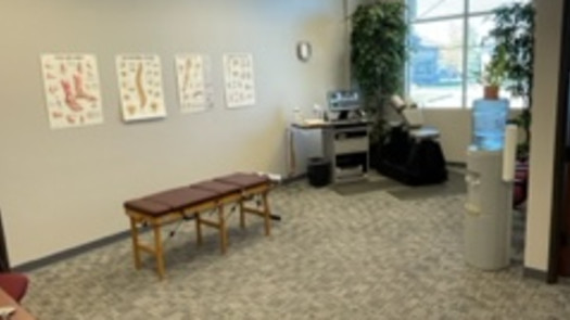BridgeTower Chiropractic in Meridian, ID for sale