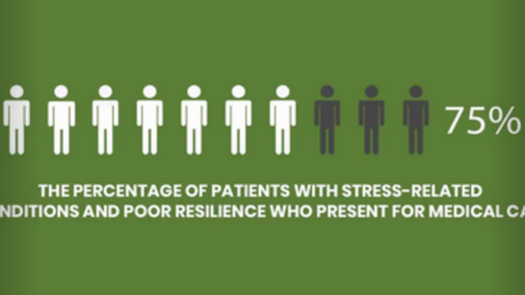 Award-Winning Stress Resilience Provider