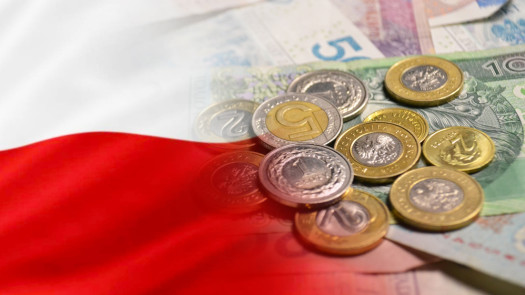 Poland SPI Licensed Company For Sale