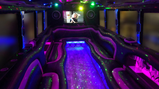 Elegant Transport Services and Limo Business