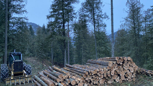 Estate / Development / Investment Property - Idaho