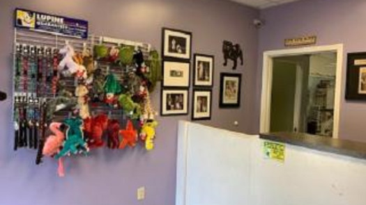 Grooming Business For Sale in Berkeley County