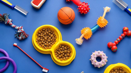 Booming Pet Industry Opportunity – Premium Retail & Grooming Franchise