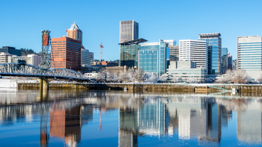 Portland, OR Area Small Animal Clinic with 3 DVMs