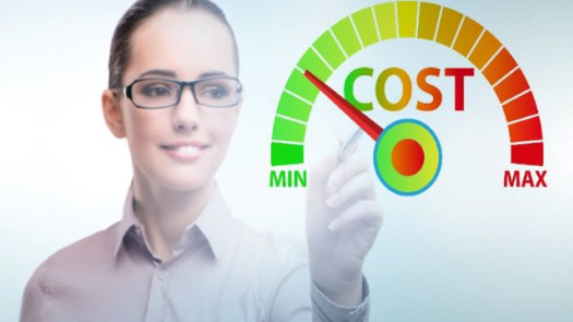 Franchise - Cost Reduction Consulting - Home Based