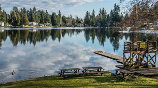 Well-Est 20+Year Old Chiropractic Practice